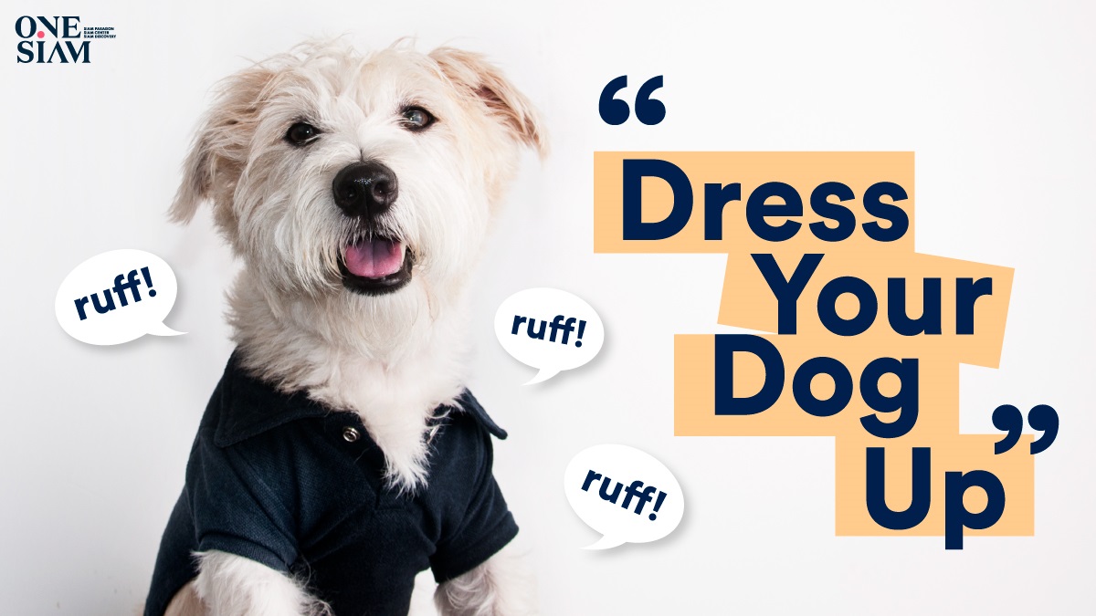 pet dress shop near me